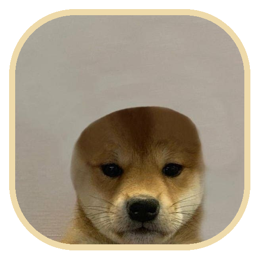 dogwifouthat